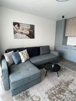 SUNNY studio w balcony and heated pool in Mano Jūra 2